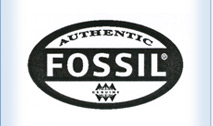 Authentic Fossil